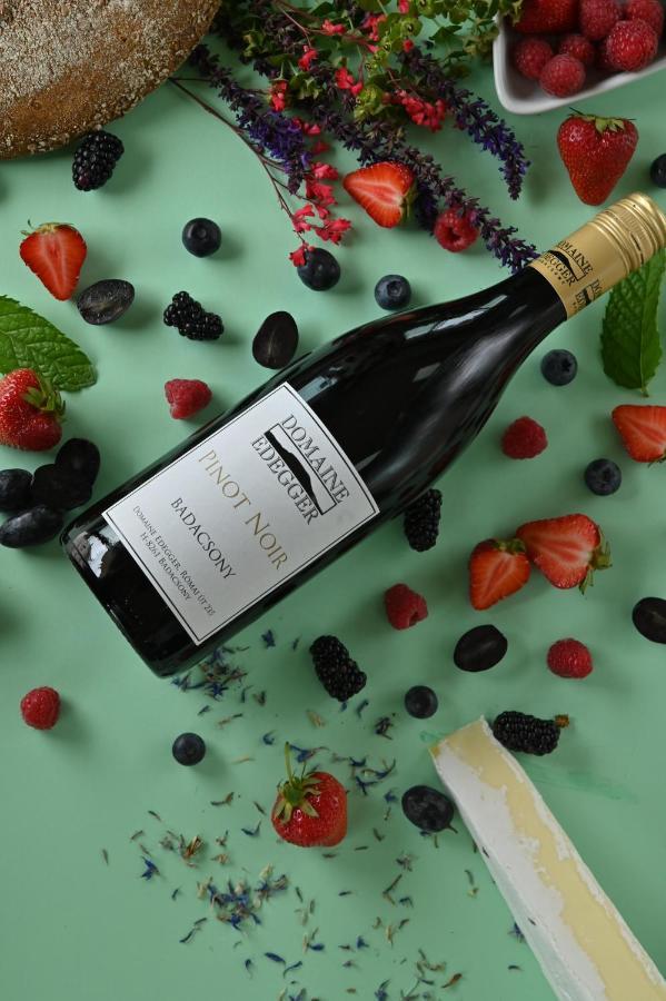 Domaine Edegger - Organic Winery Badacsony Lejlighedshotel Badacsonytomaj Eksteriør billede